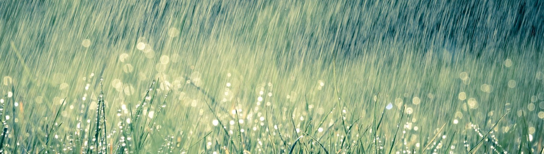 Opady deszczu Fot. Shutterstock