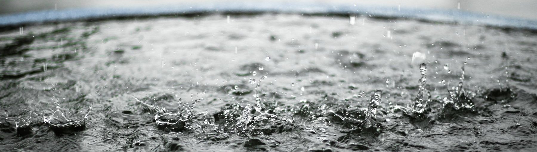 Fot. ANAWAT SOMYAT/Shutterstock