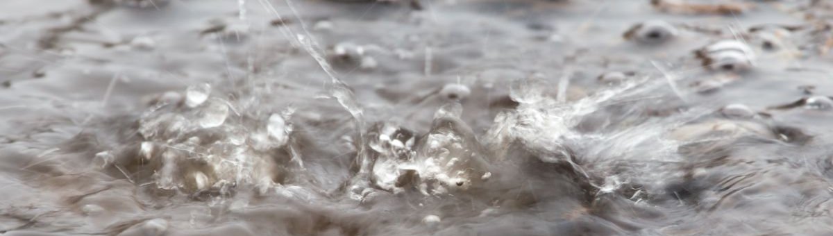 Fot. shankz/Shutterstock.com