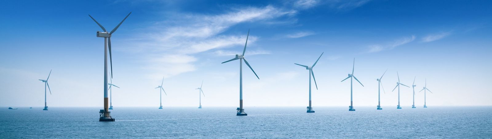 PKN Orlen chce budować farmę wiatrową na Bałtyku. Jest przetarg. Fot. chuyuss/Shutterstock