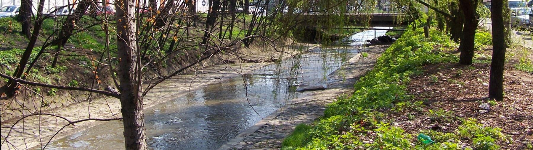 Katowice: kto odmuli rzekę Rawę? Fot. Wikimedia/Lestat