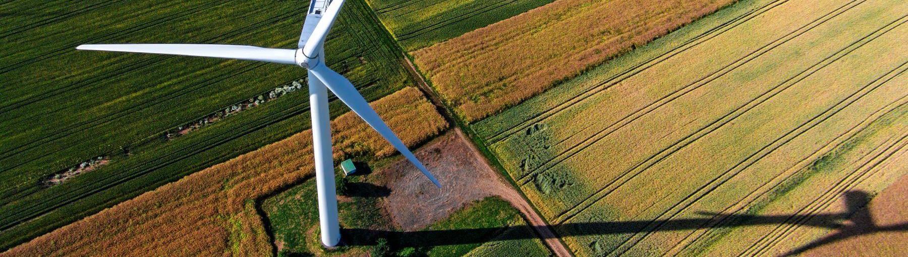 Czy ustawa o OZE rozwiąże problemy wytwórców zielonej energii? Fot. Shutterstock