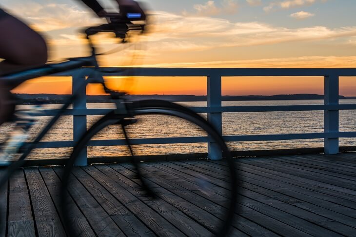 Ścieżka rowerowa nieopodal Zatoki Gdańskiej. Fot. Agata Kowalczyk / Shutterstock