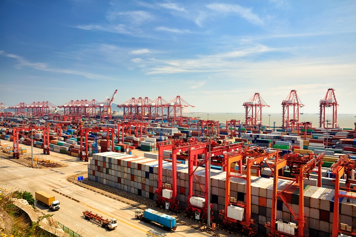 Port głębinowy w Yangshan. Fot. Krunja / Shutterstock