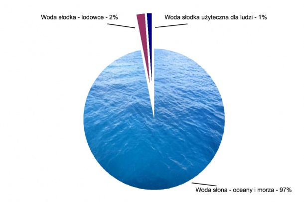 Zasoby wody pitnej na świecie. Grafika: ZWiK Łódź