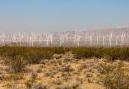 Elektrownia wiatrowa Alta Wind Energy Center (znana także jako Mojave Wind Farm) na pustyni Mojave, w górach Tehachapi, w Kalifornii (USA). Fot. oscity / Adobe Stock